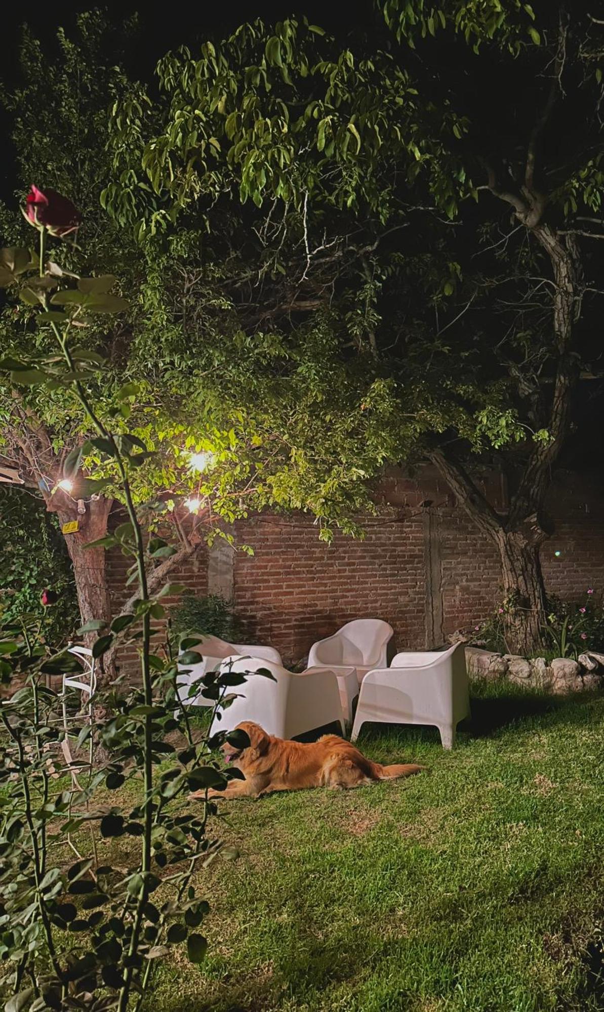 Casa Los Nogales Villa Cafayate Eksteriør bilde