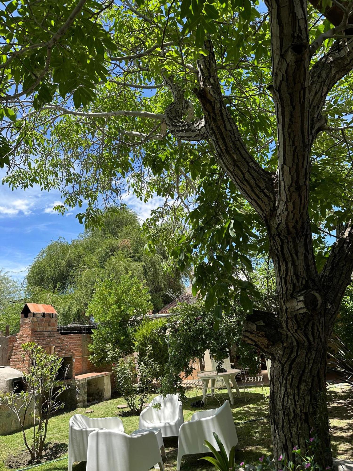 Casa Los Nogales Villa Cafayate Eksteriør bilde